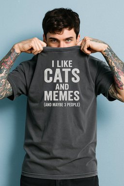 I Like Cats And Memes Sarcastic T Shirt Gift For Cat Lover