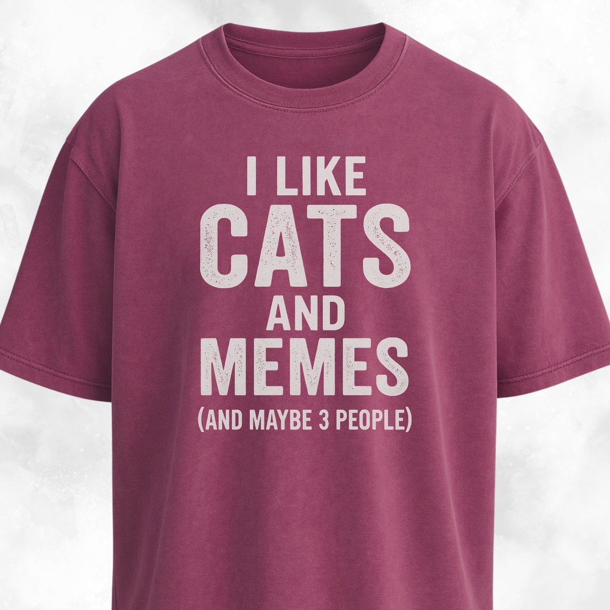 I Like Cats And Memes Sarcastic T Shirt Gift For Cat Lover