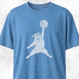 Jordan Bully T Shirt Gift For Dog Lover