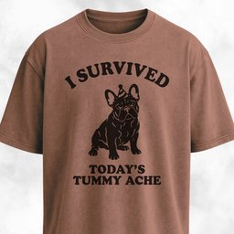 I Survived Todays Tummy Ache Frenchie T Shirt Gift For Dog Lover