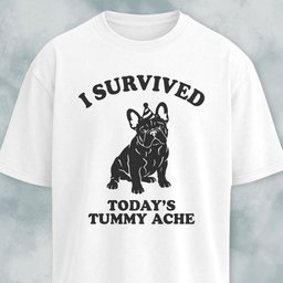 I Survived Todays Tummy Ache Frenchie T Shirt Gift For Dog Lover