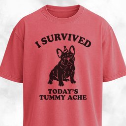 I Survived Todays Tummy Ache Frenchie T Shirt Gift For Dog Lover