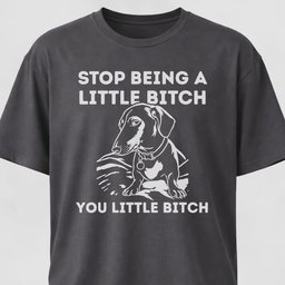 Stop Being A Little Bitch Dachshund Edition T Shirt Gift For Dog Lover