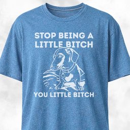 Stop Being A Little Bitch Dachshund Edition T Shirt Gift For Dog Lover
