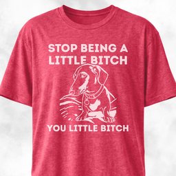Stop Being A Little Bitch Dachshund Edition T Shirt Gift For Dog Lover