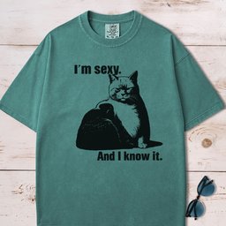 Im Sexy And I Know IT Chubby Cat T Shirt Gift For Cat Lover