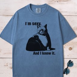Im Sexy And I Know IT Chubby Cat T Shirt Gift For Cat Lover