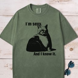Im Sexy And I Know IT Chubby Cat T Shirt Gift For Cat Lover