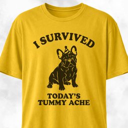 I Survived Todays Tummy Ache Frenchie T Shirt Gift For Dog Lover