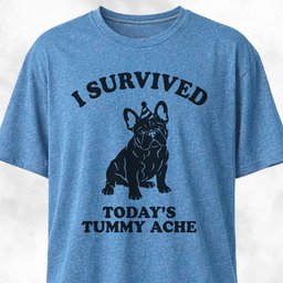I Survived Todays Tummy Ache Frenchie T Shirt Gift For Dog Lover