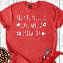 All You Need Is A Labrador T Shirt Gift For Dog Lover