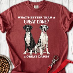 2 Great Danes Premium Tee Gift For Dog Lover