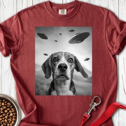Beagle Ufo Premium Tee Gift For Dog Lover