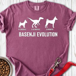 Basenji Evolution Premium Tee Gift For Dog Lover