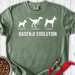 Basenji Evolution Premium Tee Gift For Dog Lover