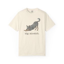 Australian Cattle Dog Big Stretch Premium Tee Gift For Dog Lover