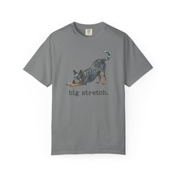 Australian Cattle Dog Big Stretch Premium Tee Gift For Dog Lover