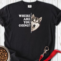 Alaskan Malamute Where Are You Going Premium Tee Gift For Dog Lover