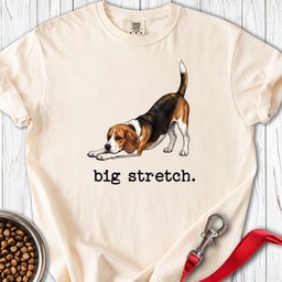 Beagle Big Stretch Premium Tee Gift For Dog Lover
