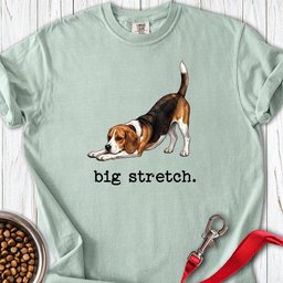 Beagle Big Stretch Premium Tee Gift For Dog Lover