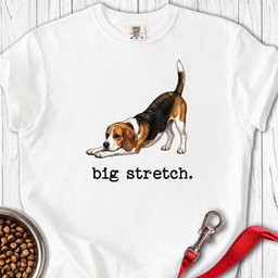Beagle Big Stretch Premium Tee Gift For Dog Lover