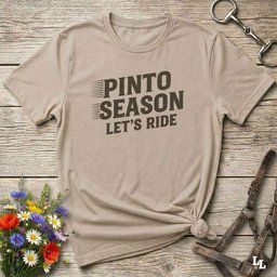 Pinto Season Lets Ride T Shirt Gift For Horse Lover