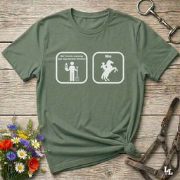 Age Appropriate Hobbies T Shirt Gift For Horse Lover