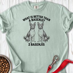 Basenji What Is Better Than One Premium Tee Gift For Dog Lover