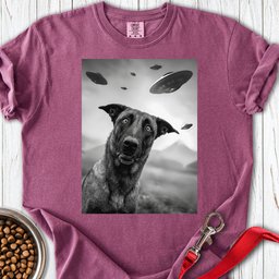 Belgian Malinois Ufo Premium Tee Gift For Dog Lover