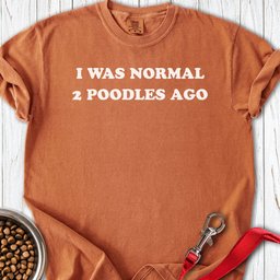 2 Standard Poodles Ago Premium Tee Gift For Dog Lover