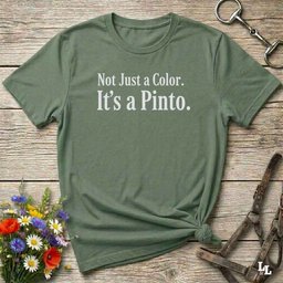 Not Just A Color T Shirt Gift For Horse Lover