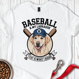 Baseball And My Labrador T Shirt Gift For Dog Lover