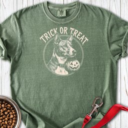 Basenji Trick Or Treat Premium Tee Gift For Dog Lover