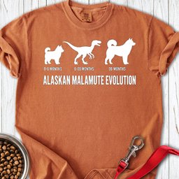 Alaskan Malamute Evolution Premium Tee Gift For Dog Lover