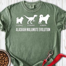 Alaskan Malamute Evolution Premium Tee Gift For Dog Lover