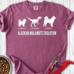 Alaskan Malamute Evolution Premium Tee Gift For Dog Lover