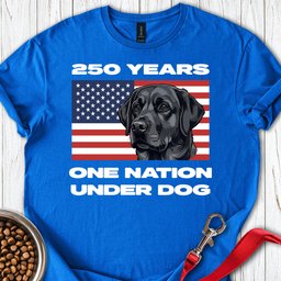 250 Years USA Black Lab T Shirt Gift For Dog Lover