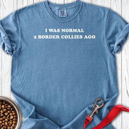 2 Border Collies Premium Tee Gift For Dog Lover