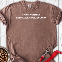 2 Border Collies Premium Tee Gift For Dog Lover