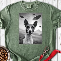 Basenji Ufo Premium Tee Gift For Dog Lover