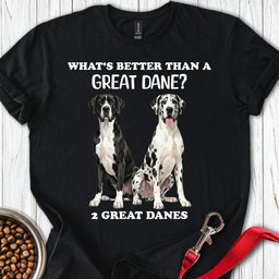 2 Great Danes T Shirt Gift For Dog Lover