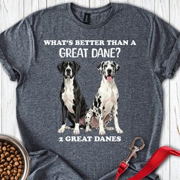 2 Great Danes T Shirt Gift For Dog Lover