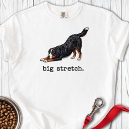 Bernese Mountain Dog Big Stretch Premium Tee Gift For Dog Lover
