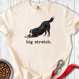 Bernese Mountain Dog Big Stretch Premium Tee Gift For Dog Lover
