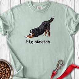 Bernese Mountain Dog Big Stretch Premium Tee Gift For Dog Lover