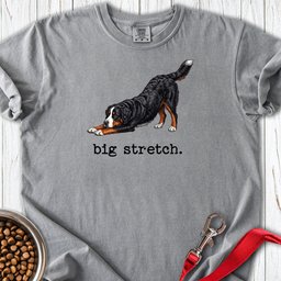 Bernese Mountain Dog Big Stretch Premium Tee Gift For Dog Lover