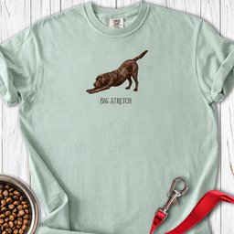 Big Stretch Chocolate Labrador Premium Tee Gift For Dog Lover
