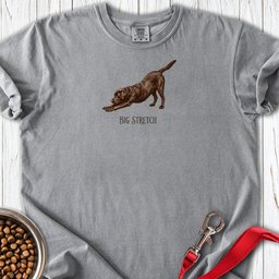 Big Stretch Chocolate Labrador Premium Tee Gift For Dog Lover