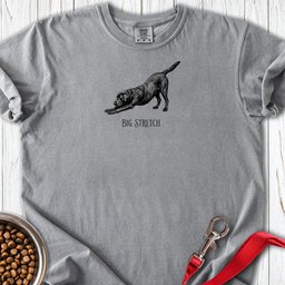 Big Stretch Black Labrador Premium Tee Gift For Dog Lover