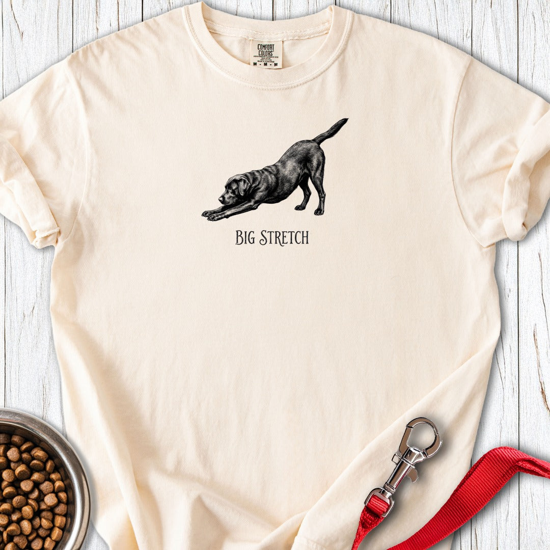 Big Stretch Black Labrador Premium Tee Gift For Dog Lover